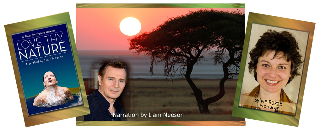 Humanitarian Award Liam Neeson
