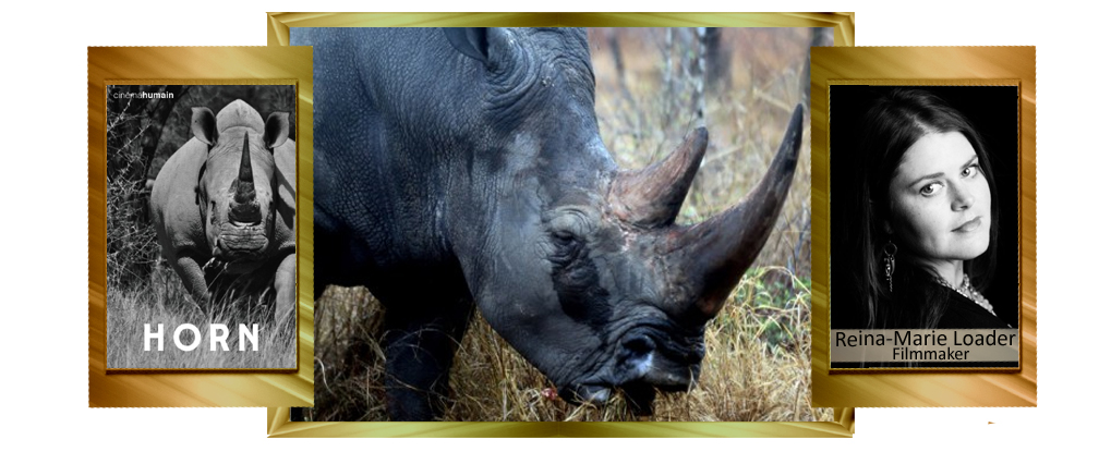 humanitarian rhino conservation